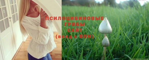 герыч Белокуриха