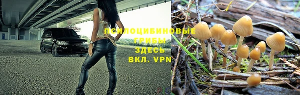 герыч Белокуриха